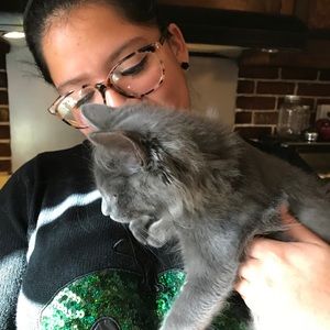 Meet your Posher, Veronica